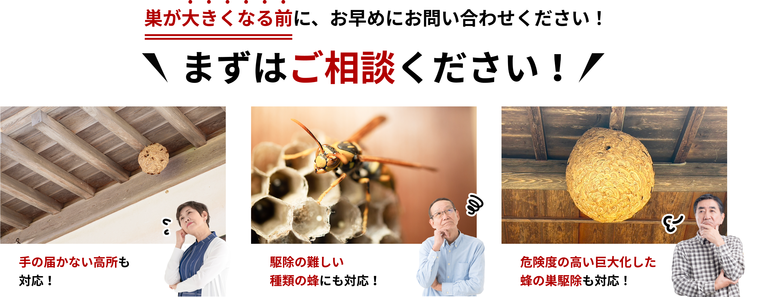 巣が大きくなる前に、お早めにお問い合わせください!まずはご相談ください